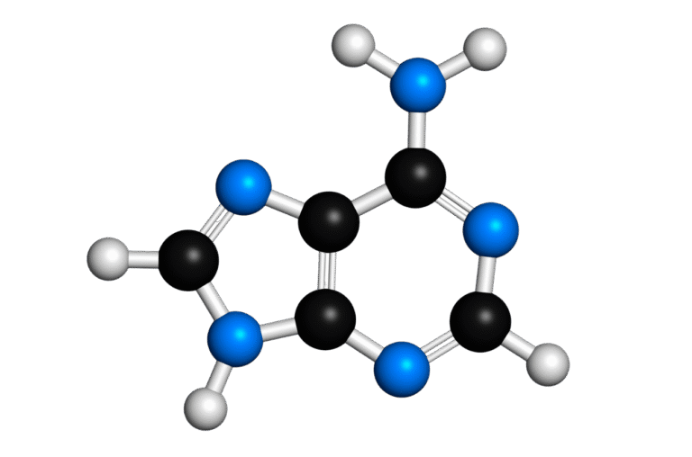 NAD+ (Nicotinamide Adenine Dinucleotide)